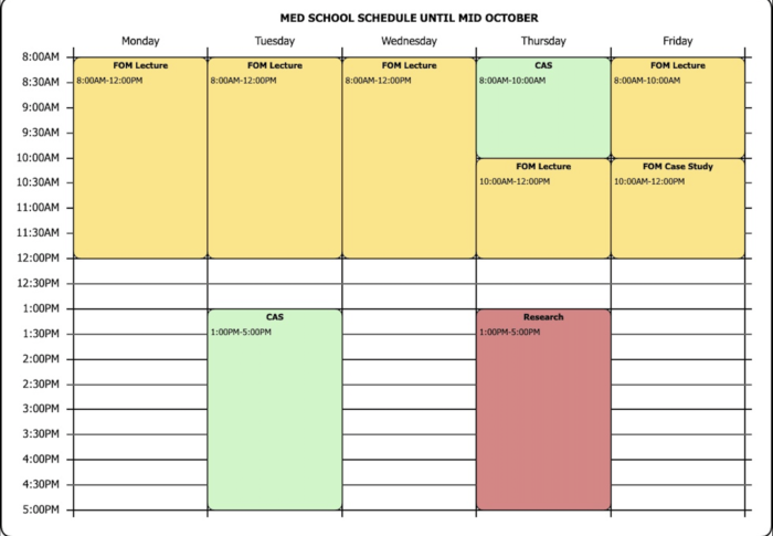 Medical School Schedule (Year 1)