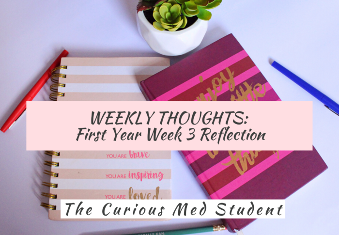 Weekly Thoughts: First Year Week 3 Reflections