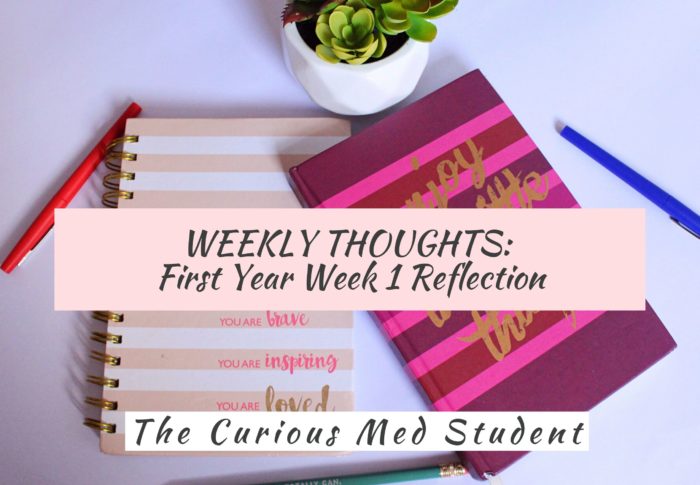 Weekly Thoughts: First Year Week 1 Reflection