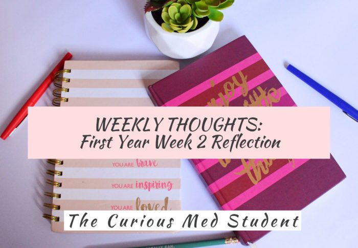 Weekly Thoughts: First Year Week 2 Reflection